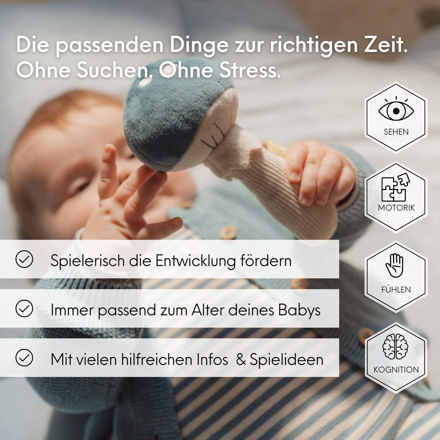 NUBEE BABYBOX 0-6 Monate